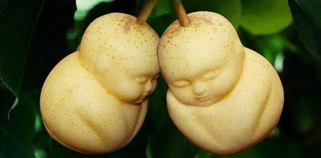 China Has Invented An Adorable New Way To Eat Pears