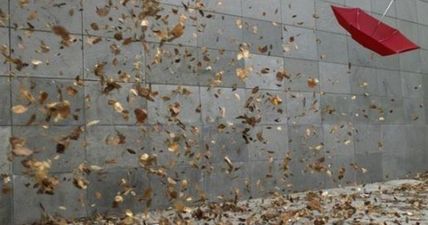 Wind Warning Issued Ahead of a Cold and Showery Weekend