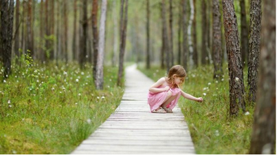 Stubborn children grow up to be the most successful adults