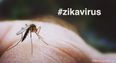 Zika: 10 Facts Every Pregnant Woman Should Know