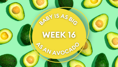 Your baby at 16 weeks pregnant: Week-by-week guide to development