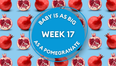Your baby at 17 weeks pregnant: Week-by-week guide to development