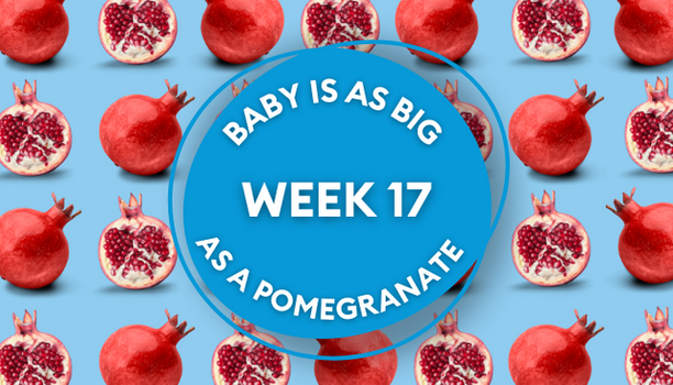 pomegranate pregnancy image