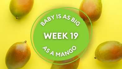 Your baby at 19 weeks pregnant: Week-by-week guide to development