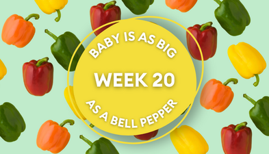 Your baby at 20 weeks pregnant: Week-by-week guide to development