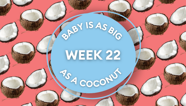 coconut pregnancy image