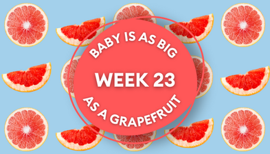 Your baby at 23 weeks pregnant: Week-by-week guide to development