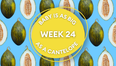 Your baby at 24 weeks pregnant: Week-by-week guide to development