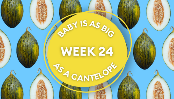 canteloupe pregnancy image