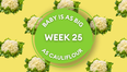 Your baby at 25 weeks pregnant: Week-by-week guide to development