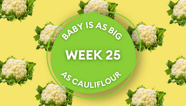 cauliflower pregnancy image