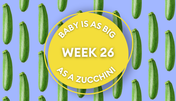 zucchini pregnancy image