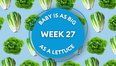 Your baby at 27 weeks pregnant: Week-by-week guide to development
