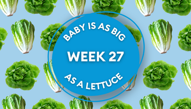 Your baby at 27 weeks pregnant: Week-by-week guide to development