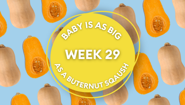butternut squash pregnancy image