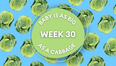 Your baby at 30 weeks pregnant: Week-by-week guide to development