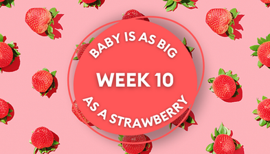 Your baby at 10 weeks: Week-by-week guide to pregnancy