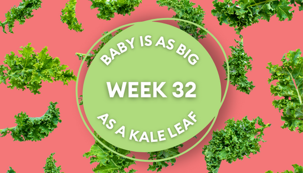 kale leaf pregnancy image