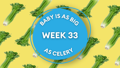 Your baby at 33 weeks pregnant: Week-by-week guide to development