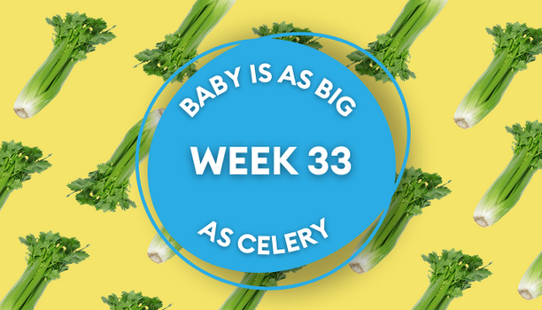 celery pregnancy image