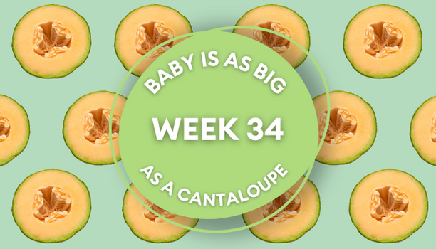 cantaloupe pregnancy
