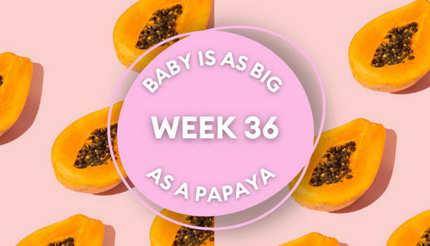 papaya pregnancy image