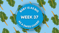 Your baby at 37 weeks pregnant: Week-by-week guide to development