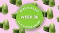 Your baby at 38 weeks pregnant: Week-by-week guide to development