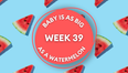 Your baby at 39 weeks pregnant: Week-by-week guide to development