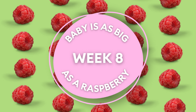 Your baby at 8 weeks: Week-by-week guide to pregnancy and development