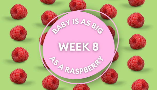 raspberry pregnancy image