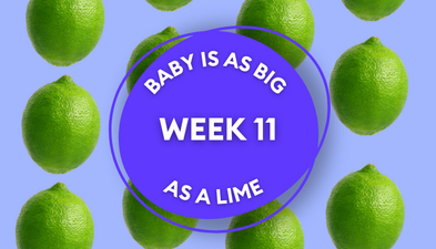 Your baby at 11 weeks pregnant: Week-by-week guide to development