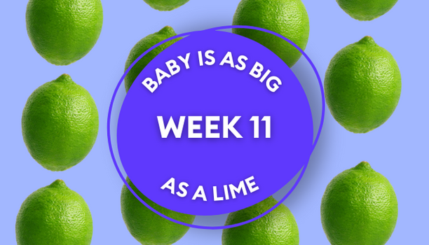lime pregnancy