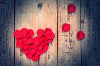 Survey Reveals The Secrets To a Satisfied Sex Life