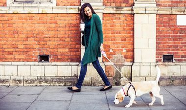 A New Dog-Friendly Café Has Opened in Dublin