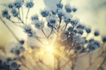 Weather To Stay Freezing And No Sign Of End To Cold Spell