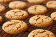 Mysterious Vanished Biscuit ‘Will Return In March’