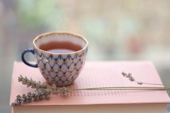 Here’s Why You Shouldn’t Squeeze The Teabag When Making a Cuppa…