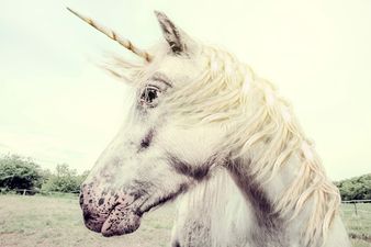 ‘Magical Unicorn Weekends’ are happening in Ireland and we’re going