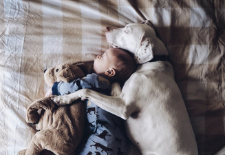 The Internet Has Fallen In LOVE With This Rescue Pup And His Best Pal