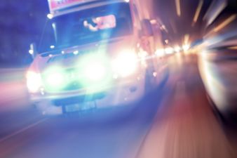 Newborn Baby Fatally Mauled By Family Pet