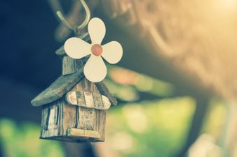 30 Questions To Ask Before Buying A Home