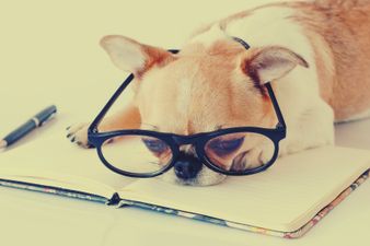 Expert Recommends Having a 15-30 Minute Nap at Work Every Day