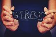 Survey Reveals The Main Causes of Day-to-Day Stress