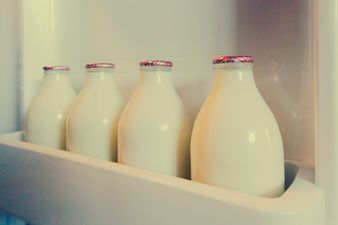 Do You Keep Your Milk In The Fridge Door? You Shouldn’t!