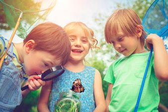 Searching for a Summer Camp? You NEED This New Website