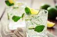 There’s A Very Good Reason We Love Gin & Tonic So Much