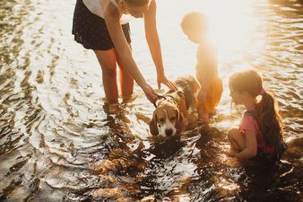 11 Brilliant Day Trips in Ireland: The Ultimate List