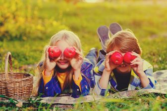 Revealed… Ireland’s Favourite Picnic Destinations