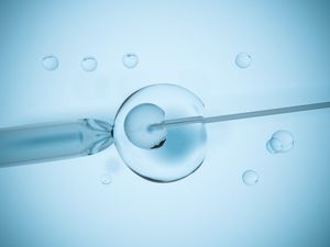 UK Scientists Deem ‘3-Person IVF’ Procedure Safe